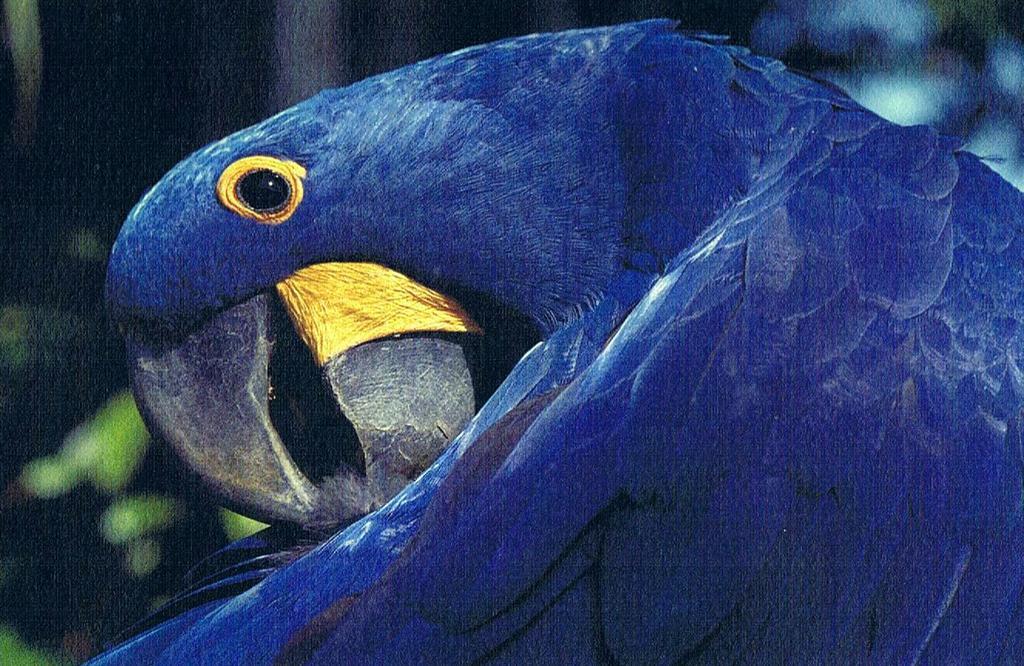 Cataguas Brasil Pousada Carrancas Ngoại thất bức ảnh