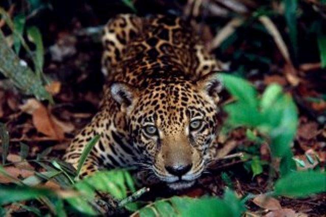 Cataguas Brasil Pousada Carrancas Ngoại thất bức ảnh
